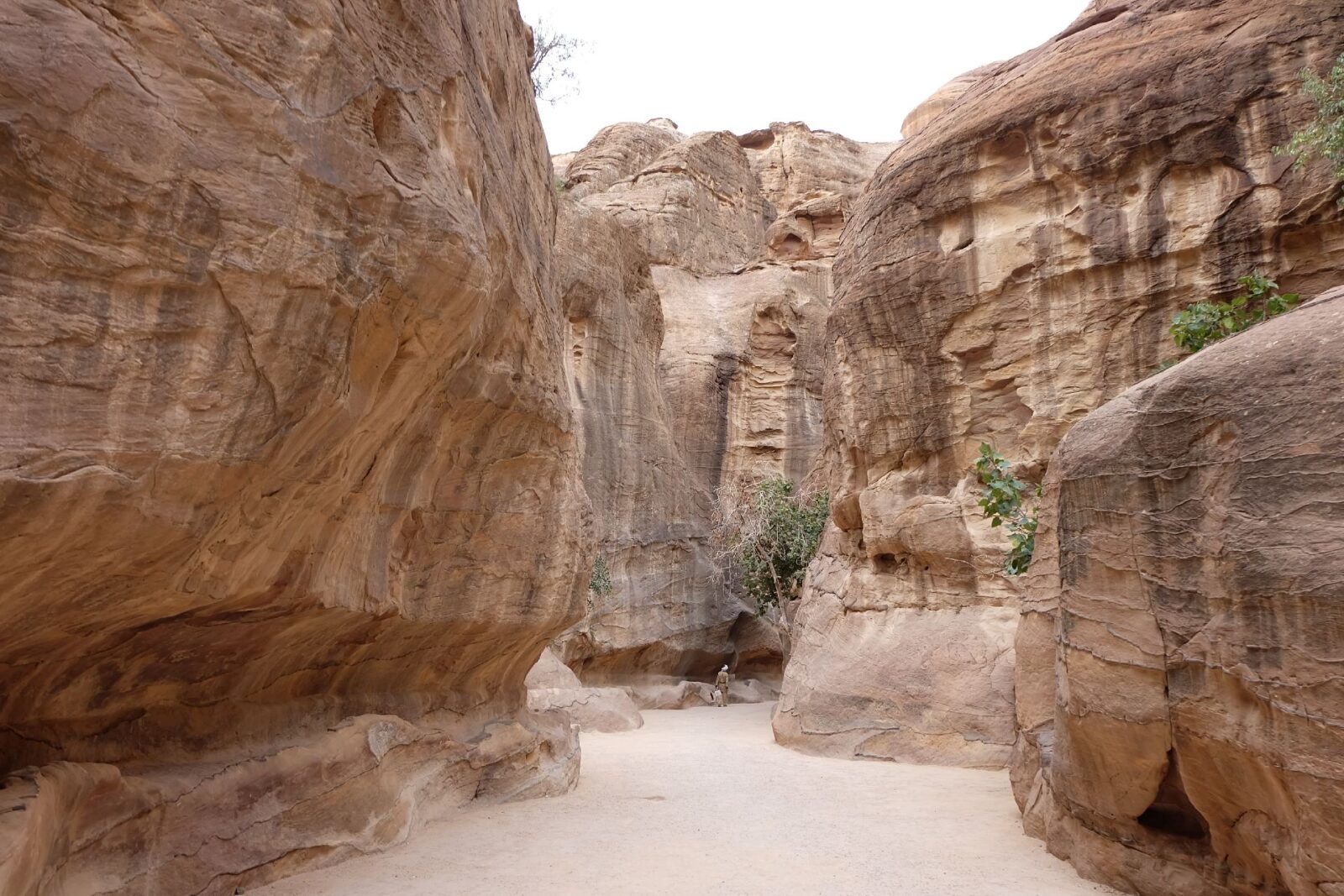 Siq, Petra