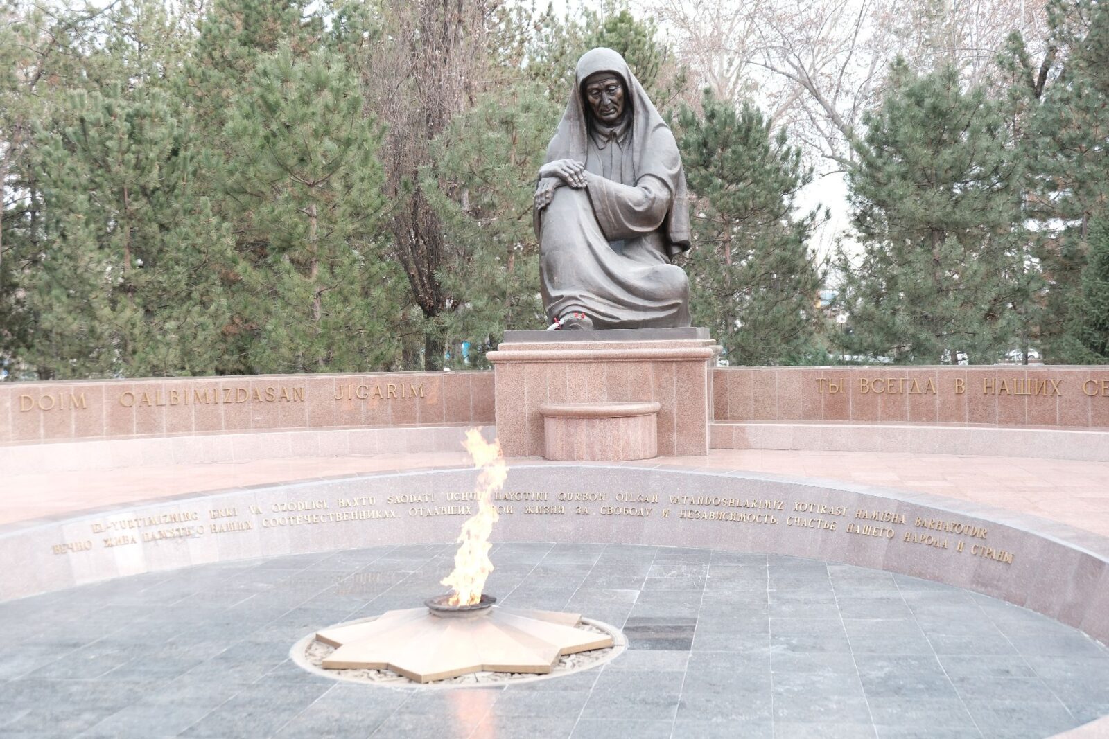 A mother waits — a timeless symbol of sacrifice and remembrance for sons who left for war and never returned.